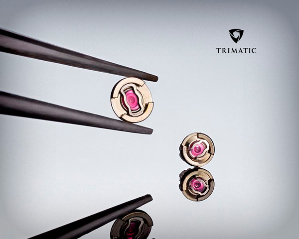 Trimatic: Diashock de Seiko Presage